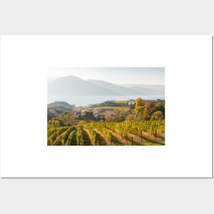 Autumn in the Vineyards at Naramata Bench Posters and Art